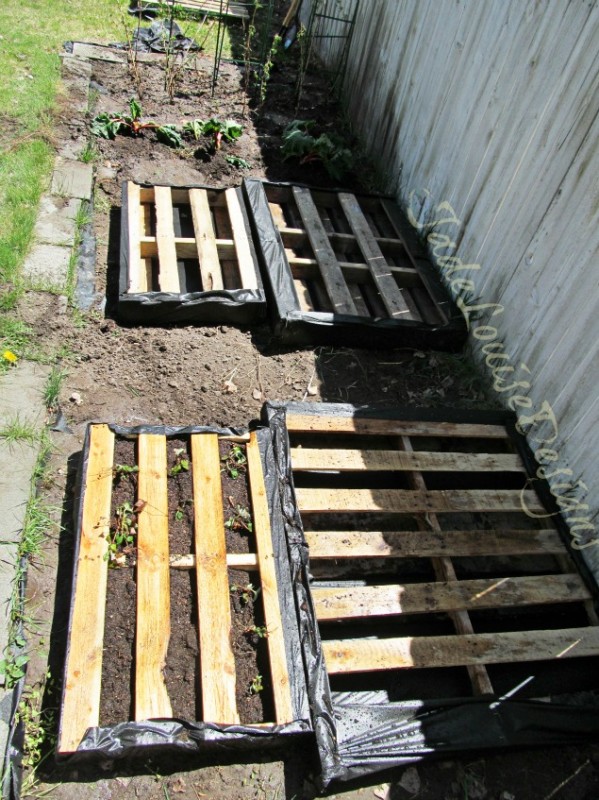 wood-pallet-garden-project