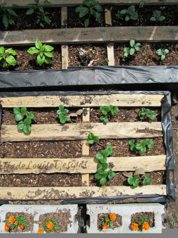 wood-pallet-project-garden