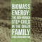 Biomass Energy—The Red-Headed Step-Child In The Green Family